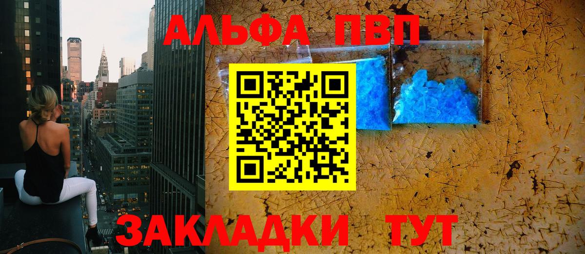 Альфа ПВП СК КРИС Майкоп