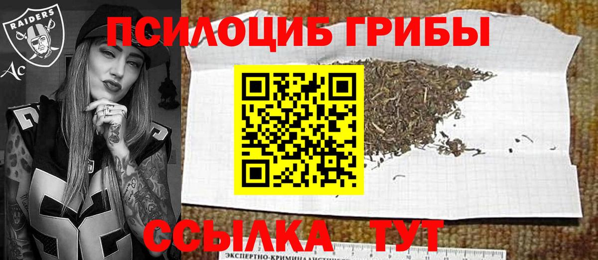 Галлюциногенные грибы Magic Shrooms Майкоп