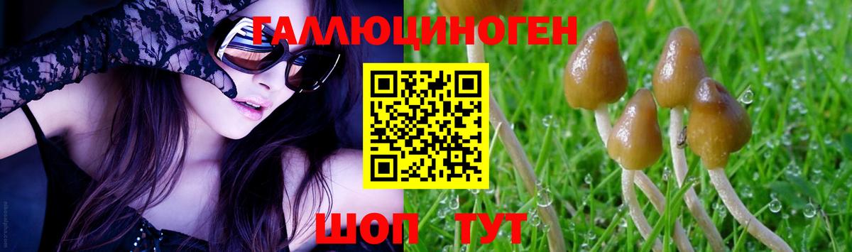 Майкоп  Галлюциногенные грибы MAGIC MUSHROOMS  Вход с VPN 